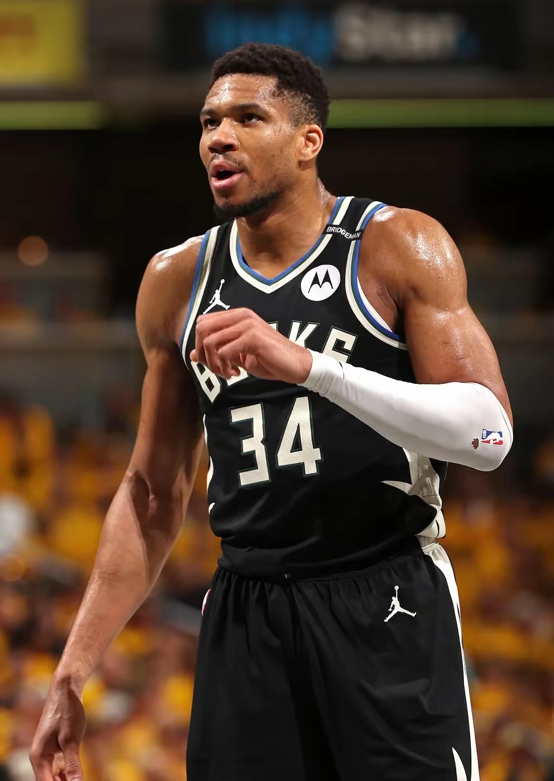 字母哥回归赛场，势不可挡首场状态亮眼，加拿大队观众沸腾！的简单介绍